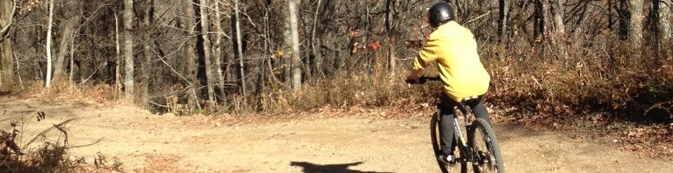 background-973x276-2