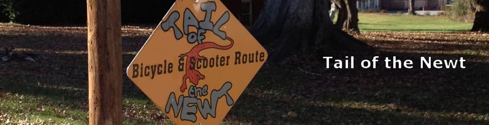 Tail of the Newt